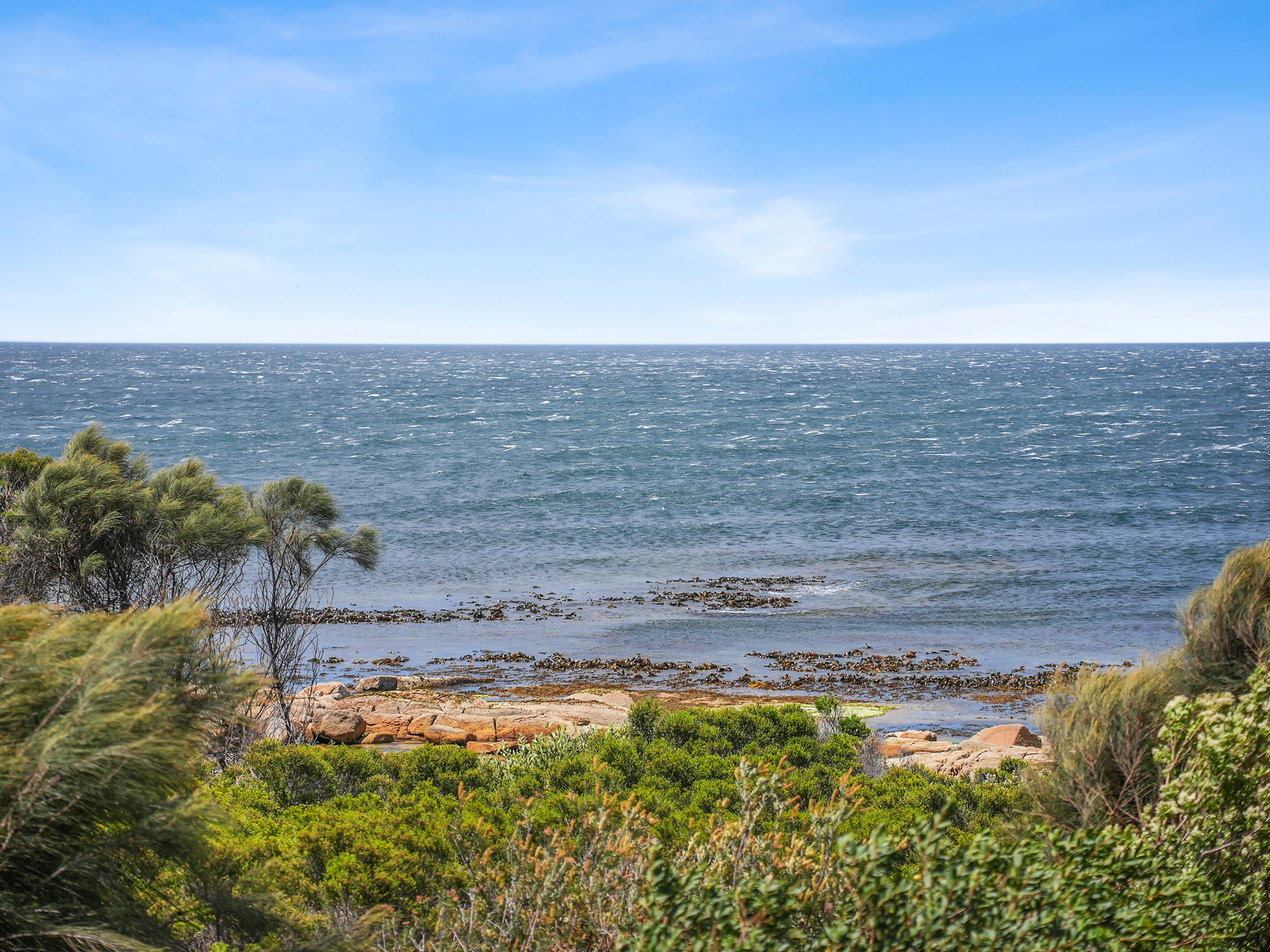 313 Harveys Farm Road, BICHENO TAS 7215, Bicheno - Thumbnail 3