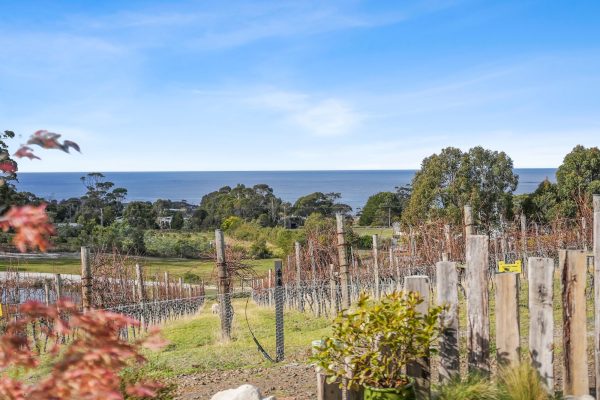 40 Harveys Farm Road, BICHENO, TAS 7215