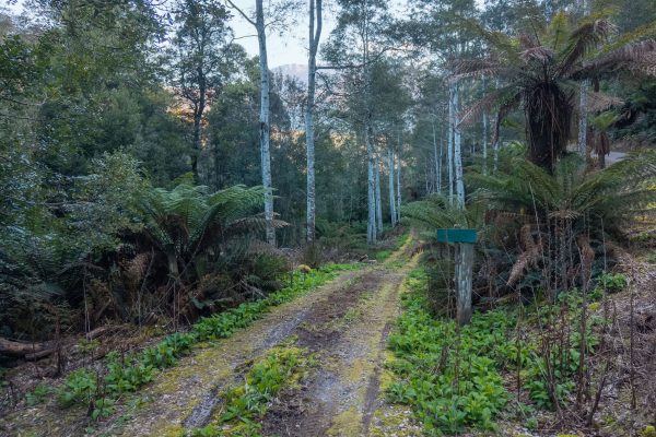 1759 Loongana Road, LOONGANA, TAS 7315